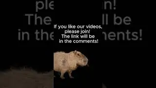 Join our discord server! #capy #capybara #trending #popular