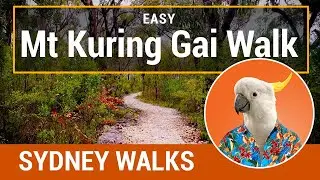 MT KURING GAI Track - Easy!