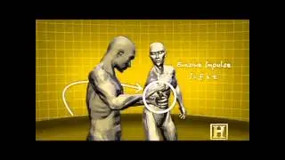 Human Weapon Krav Maga [HD]