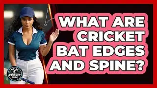 What Are Cricket Bat Edges And Spine? - Go-To Cricket Guide