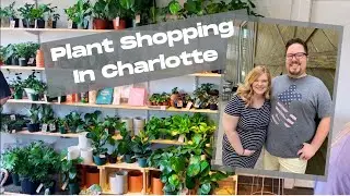 PLANT SHOPPING LOCAL. Exploring a local Plant Shop in Charlotte, NC.