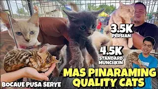 MAS KAABANG ABANG NA PUSA SERYE | JUNE 28, 2024