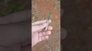 Black powder firecracker (crimped ends)