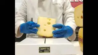 Jarlsberg Cheese