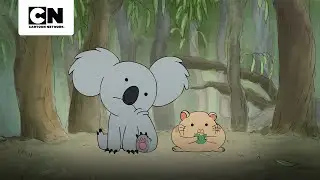 NOM NOM E SEU VÍDEO COM HAMSTER | URSOS SEM CURSO
