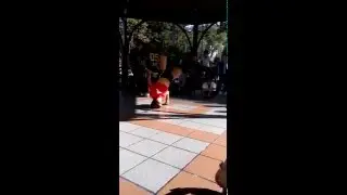 Parque Calderon, Cuenca Ecuador
