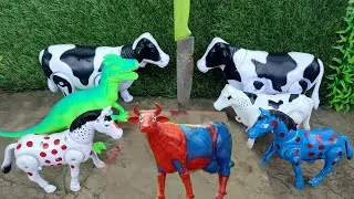 BAQRAEID 🐮‼️ QURBANI COW CUTTING PROSES WADIDAU POTONG SAPI SIMOLASI QURBANI Cartoon ‪toy story