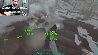 Рутинные задачи на EVIL ARK