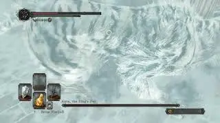 Dark Souls 2 DLC Aava boss fight