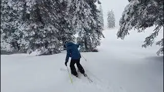 Alessandro sci boschetto neve fresca