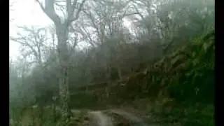 16022011002