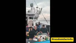 Life at Sea with Maersk | BBQ Party on a Cargo Ship! #seafarer #maerskline #shiplife