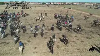 MOJADOS 29 09 2024