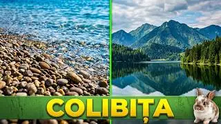 Colibita - la mer à la montagne en Roumanie 🇷🇴 Lake in the mountains 🏔️