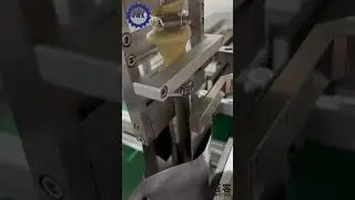 5kg automatic granule packing machine  - Weighing and Filling Machine (From 1gm - 5kg)  #machine