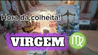 VIRGEM ♍ A HORA DA COLHEITA! 🌄🔮☀️🪔🛣️🌞🧞‍♀️