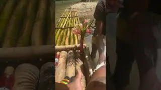River rafting and lime stone massage Jamaica