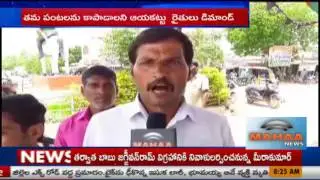 సింగూరు జలాలా లొల్లి|Medak Singur Water Project-Mahaa News Report