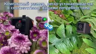 Скрытая мини-камера безопасности Wi-Fi：W02