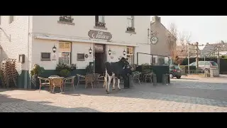 Bieske - Lekker M&egrave;lleke