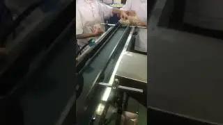 High speed cartoning machine for pillow bag