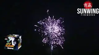 SW C2182 Midnight Howler 500G Sunwing Fireworks