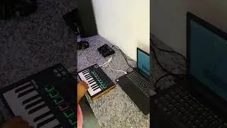 High on life (midi looping)