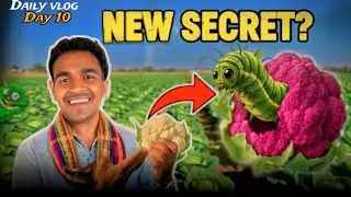 Khet mein mila anokha kida! 😲 Indian Farming New Update 2025 // Daily Vlog // rk t square 
