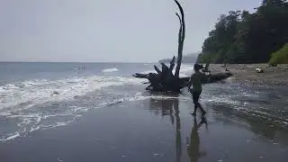 Limia bay diglipur