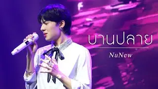 [4K] 221223 Y SPLASH - บานปลาย (NuNew)