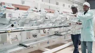 How Nip Nap Diapers Are Made: Ultra Soft, Natural, and 12-Hour Protection