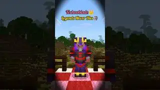 Technoblade Themed Armor Trim & Shield 🩷