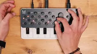 Sound Only Bonus: Modal Electronics Skulpt