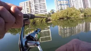 URBAN FISHING PARRAMATTA. (It's much more fishing friendly these days.)