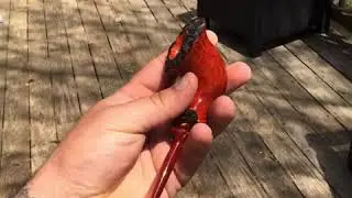Freehand briar smoking pipe by Owl Pipes