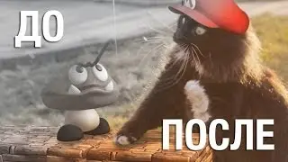 [Before & After] Super Mario Cat