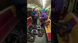 Tram Conflict: Woman with 20 Dachshunds vs. Inspector (CCTV)