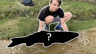 Early Spring Bass Fishing + GIANT Fish Catch (ft. CZFISHING)