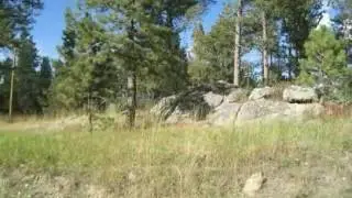 $95,000 in CUSTER 57730.  Call  Christine Muse: (605) 440-1797
