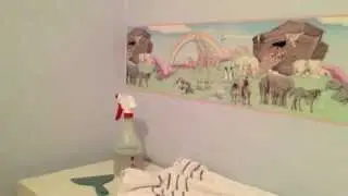 HOW TO: Remove Wallpaper Borders With Warm Water
