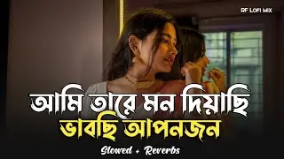 আমি তারে মন দিয়াছি || Ami Tare Mon Diyachi || TikTok Viral Song (( Slowed + Reverb ))
