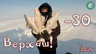НАДУБАСИЛИ СУДАКА И ЛЕЩИКА НА ГИРЛЯНДЫ И ЖЕРЛИЦЫ В -30 НА ВЕРХНЕМ ТОБОЛЕ, РЫБАЛКА В КАЗАХСТАНЕ!