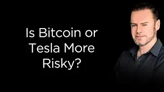 Tesla vs Bitcoin: Which Should I Allocate To?