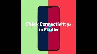 Flutter Internet Connectivity Check | FLUTTER 2025
