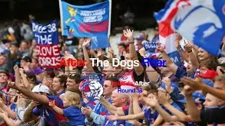 After The Dogs Roar 2016 - Episode After Round 18