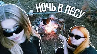 Лесной влог | 24 часа в лесу 🌲