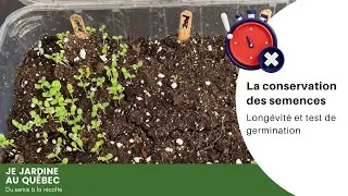 Pourquoi mes graines ne germent pas?