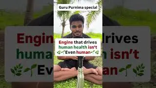 Microbiota, gut health, guru Purnima, nature, autoimmune diseases, leaky gutThe engine that driv