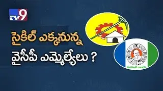 11 YCP MLAs ready to join TDP? - TV9