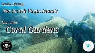 Short: Scuba Diving The British Virgin Islands, Coral Gardens Part 1